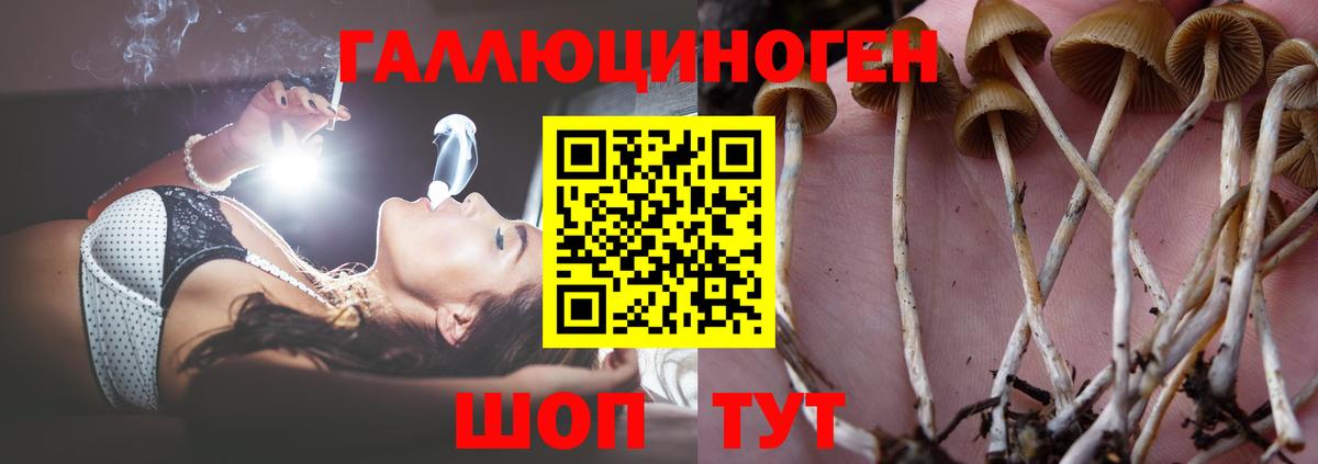 Галлюциногенные грибы Psilocybe  Галлюциногенные грибы Cubensis  Вход с VPN  Верхняя Салда 
